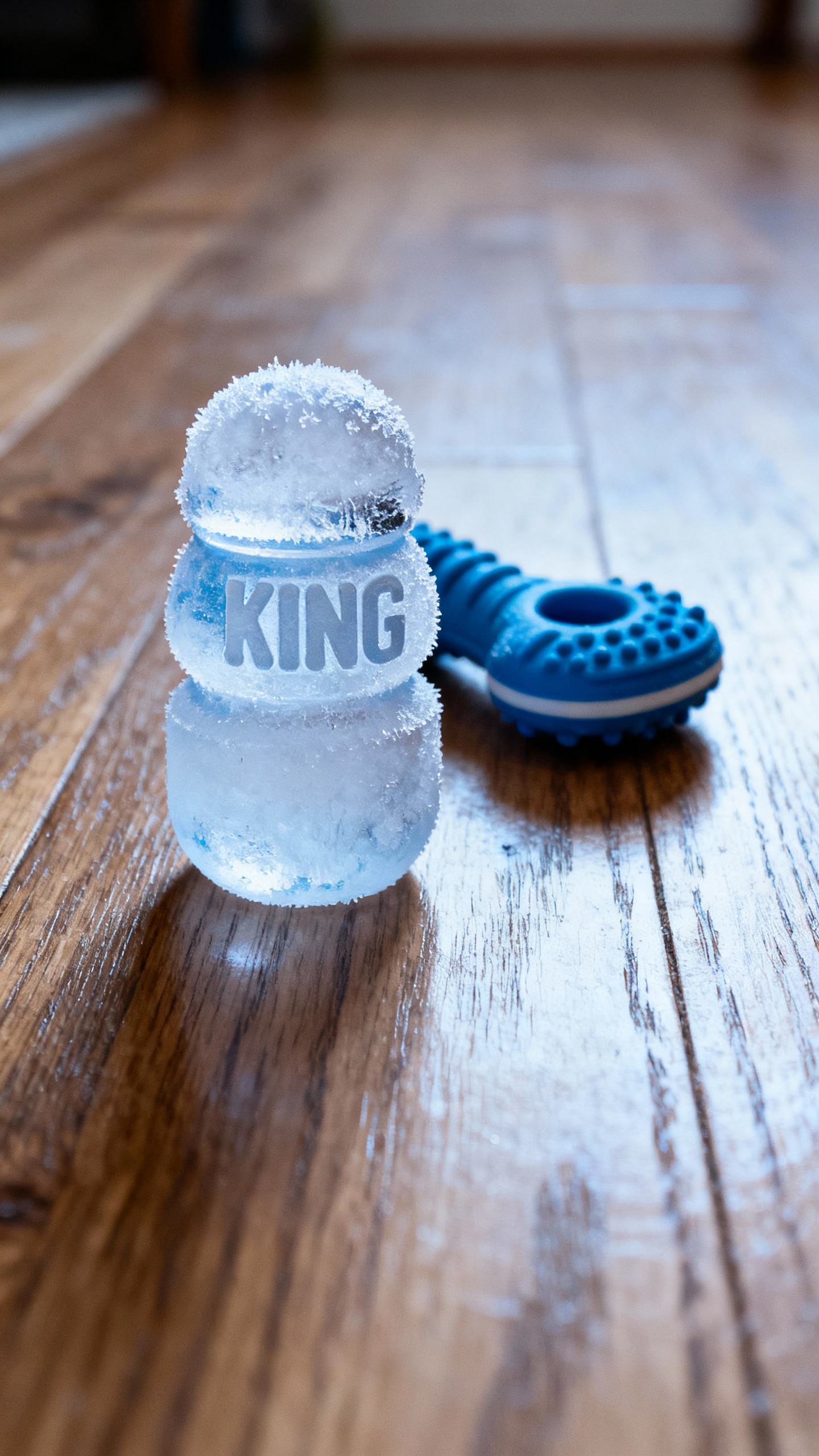 Closeup frozen Kong and rubber chew toys on wooden floor