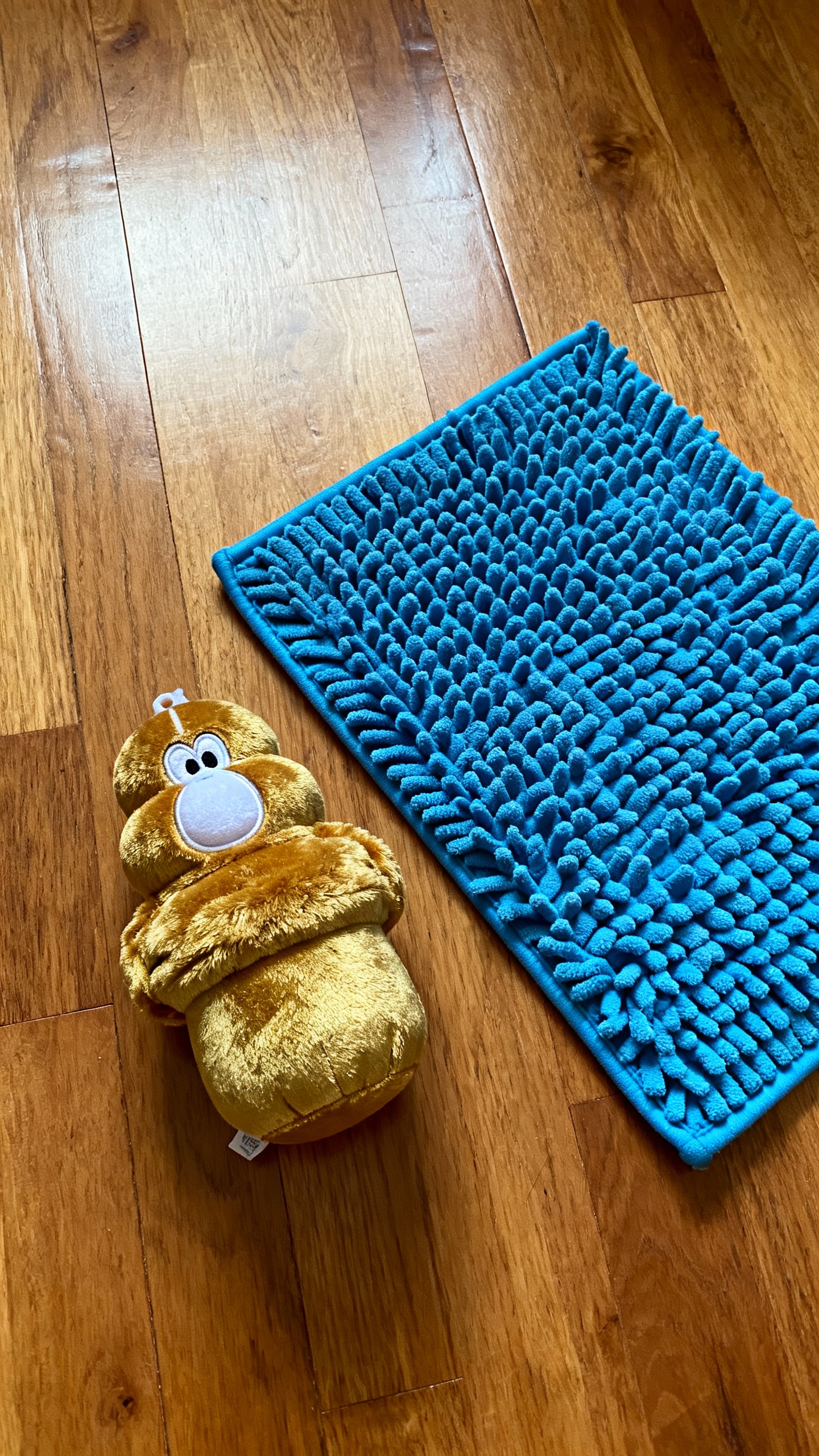 Blue snuffle mat and stuffed Kong on hardwood, soft indoor light, top-down